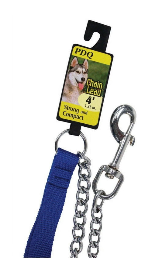 Chain Leash